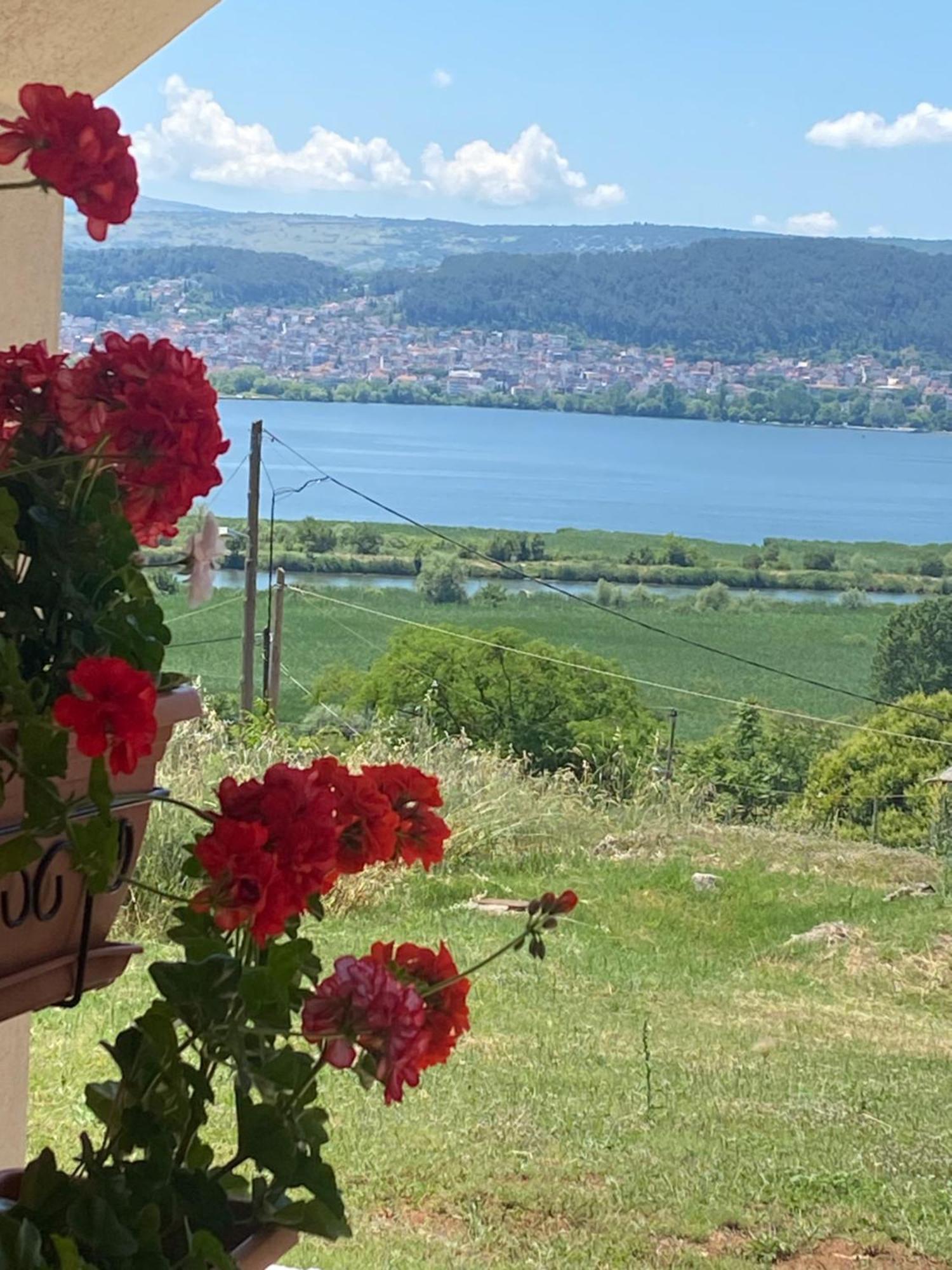 House With View In Amfithea Apartment Ioannina Ngoại thất bức ảnh